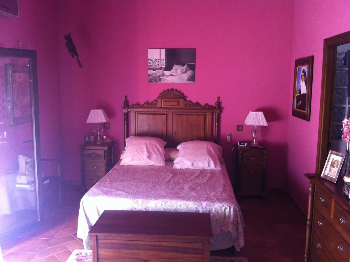 Imagen 24