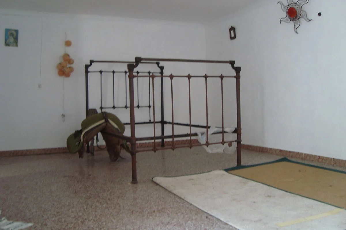 Imagen 11