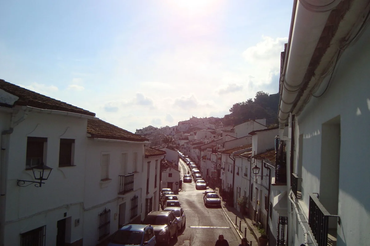 Imagen 14