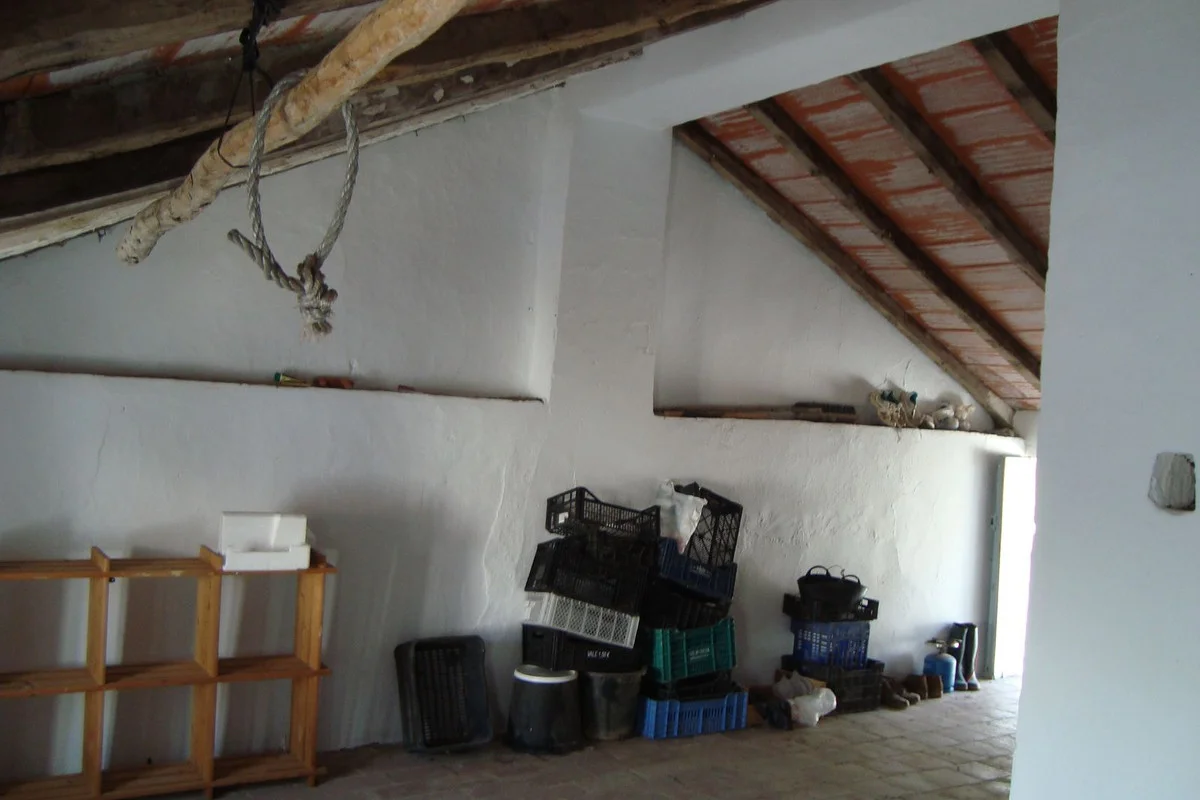 Imagen 22