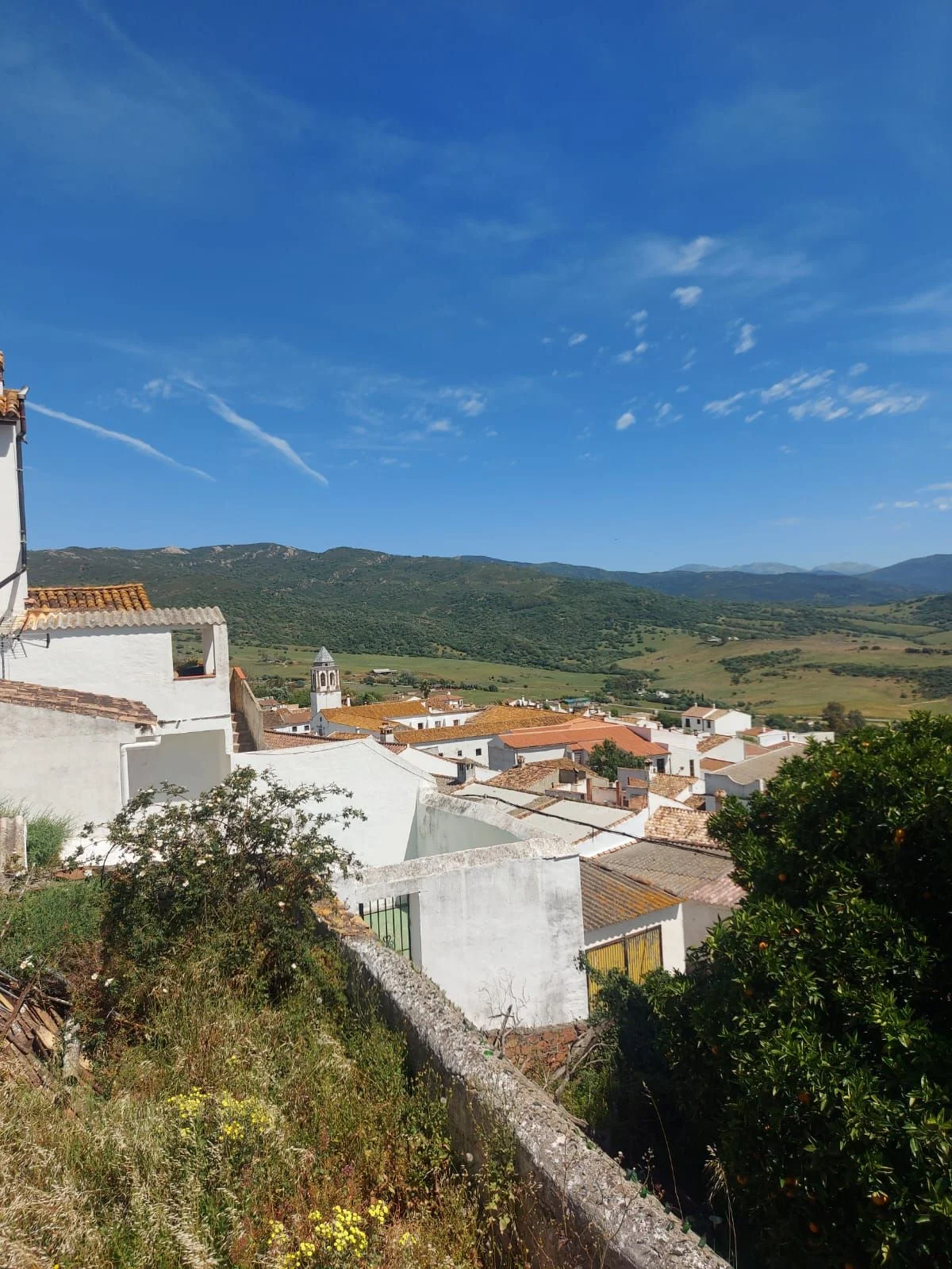 Imagen 2