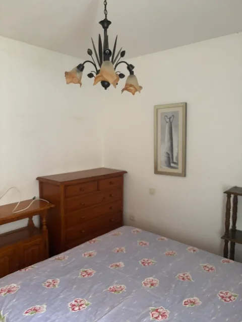 Imagen 16
