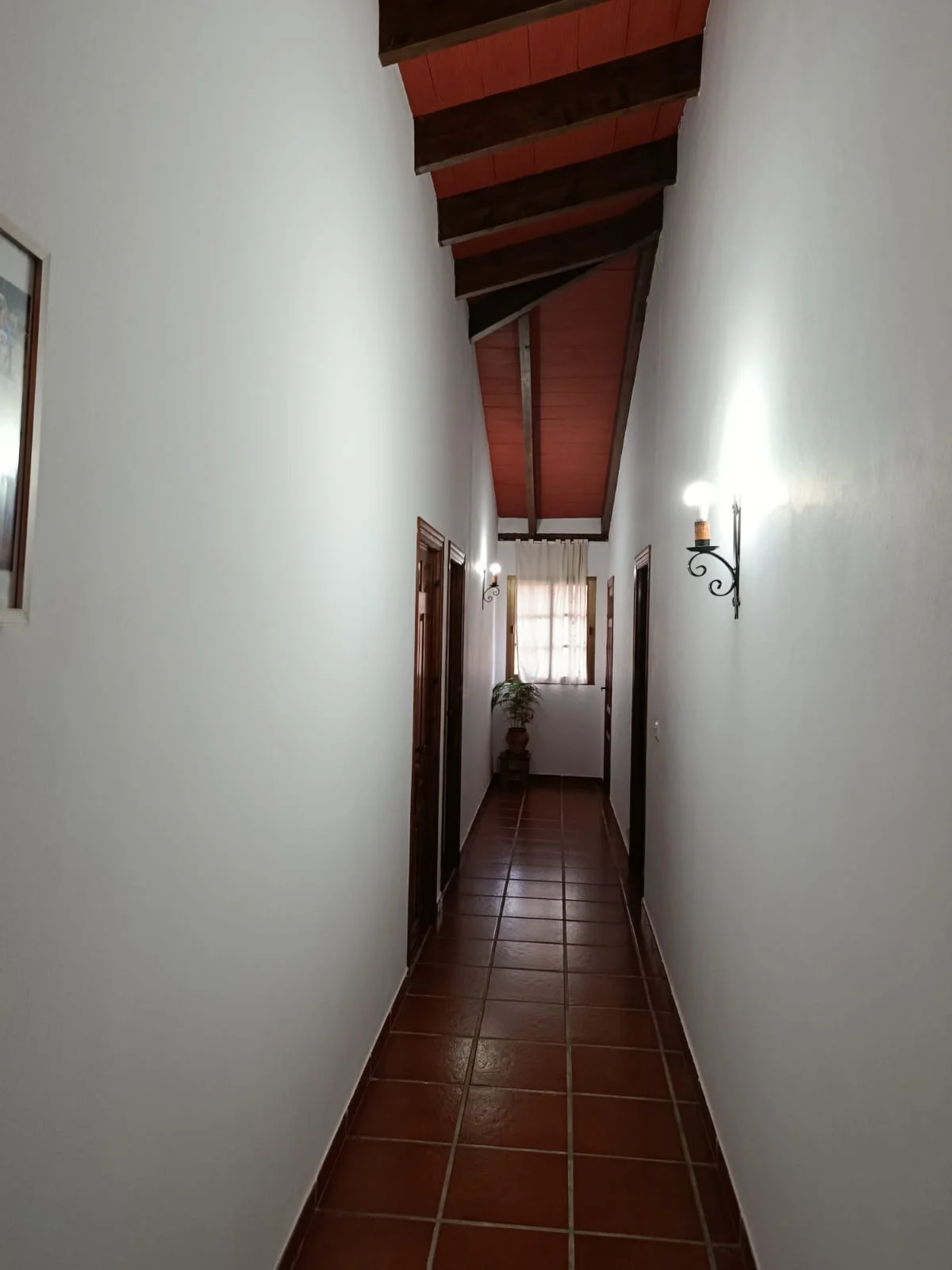 Imagen 30